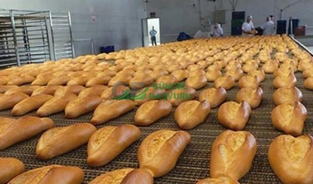 Belediye Ekmek Yardımı Başvurusu Nasıl Yapılır Başvuru Formu ve Şartları 2023